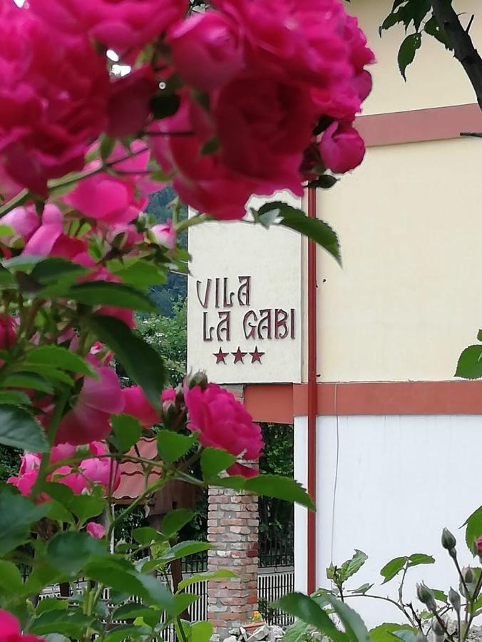 La Gabi Otel Azuga Dış mekan fotoğraf