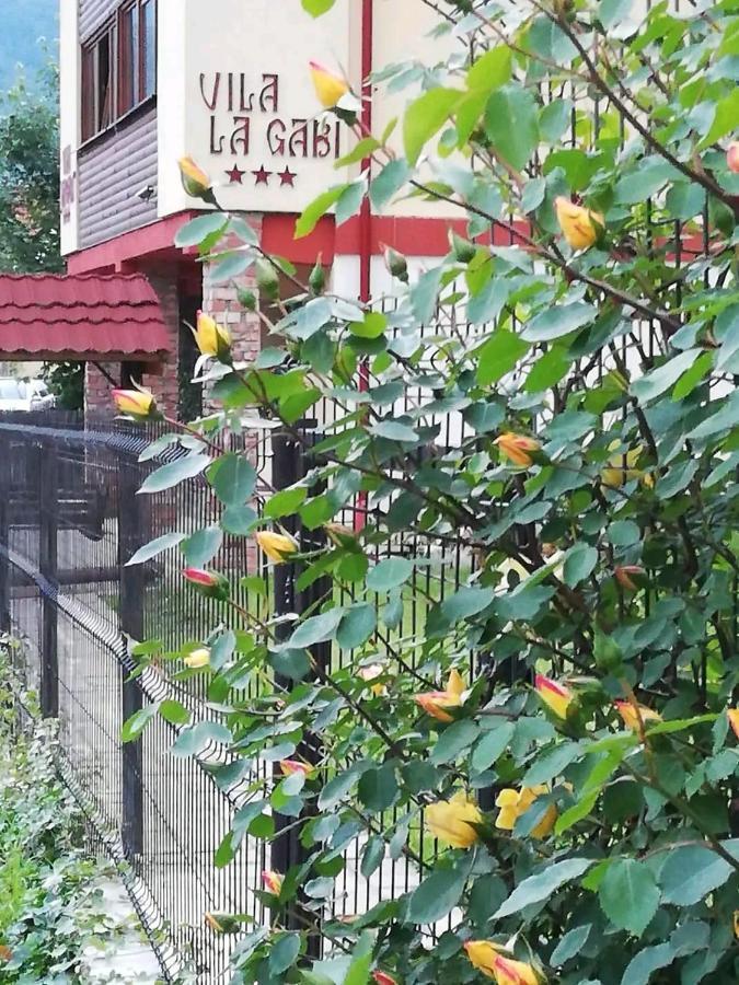 La Gabi Otel Azuga Dış mekan fotoğraf